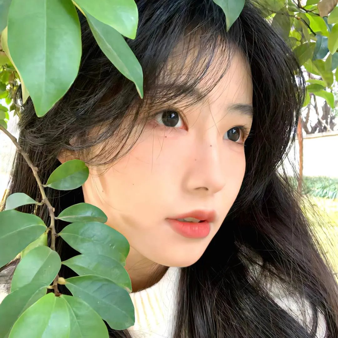 春风满古城